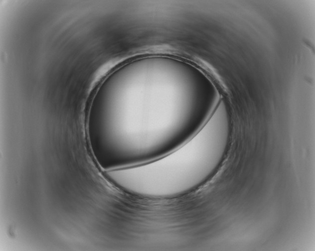 X0000095901176200801110758