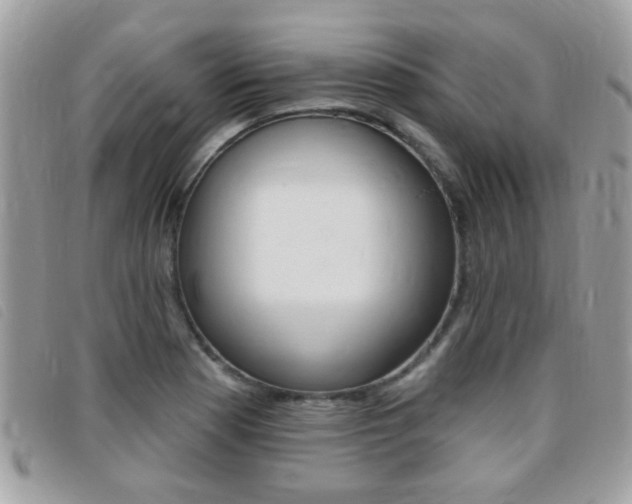 X0000095901177200801110758