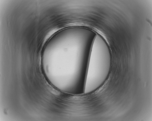 X0000095901179200801110758