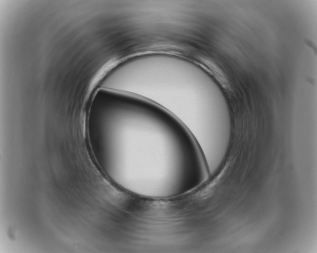 X0000095901180200801110758