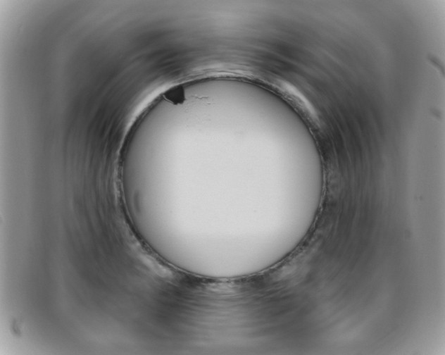 X0000095901182200801110758