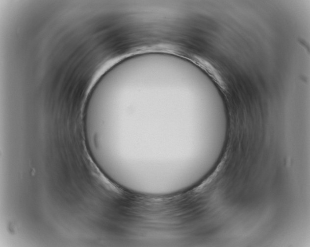 X0000095901184200801110758
