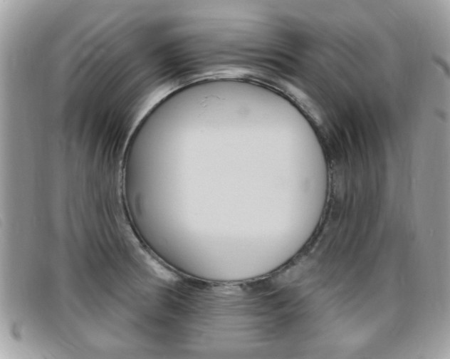 X0000095901186200801110758