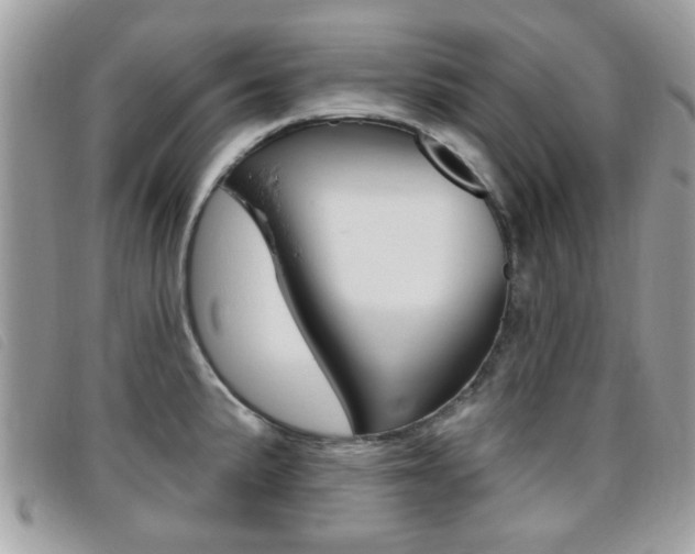 X0000095901191200801110758