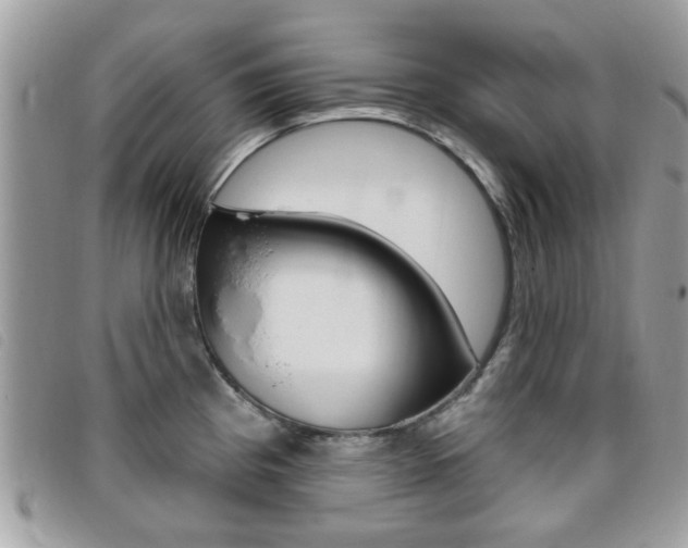 X0000095901193200801110758