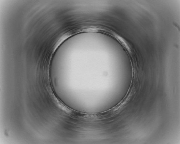 X0000095901194200801110758