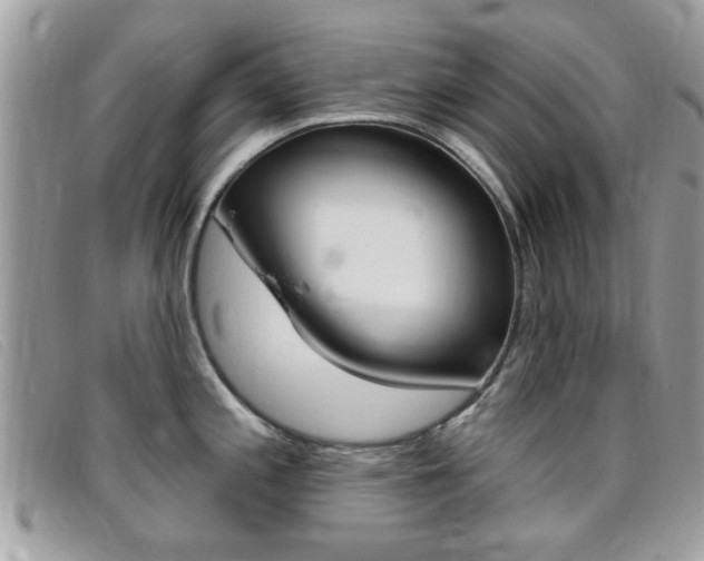 X0000095901197200801110758