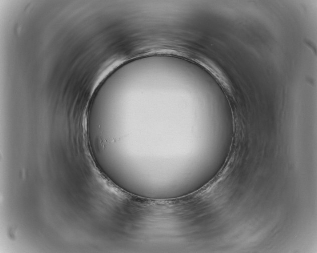 X0000095901198200801110758