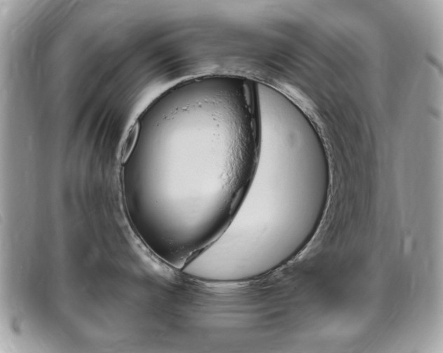 X0000095901200200801110758