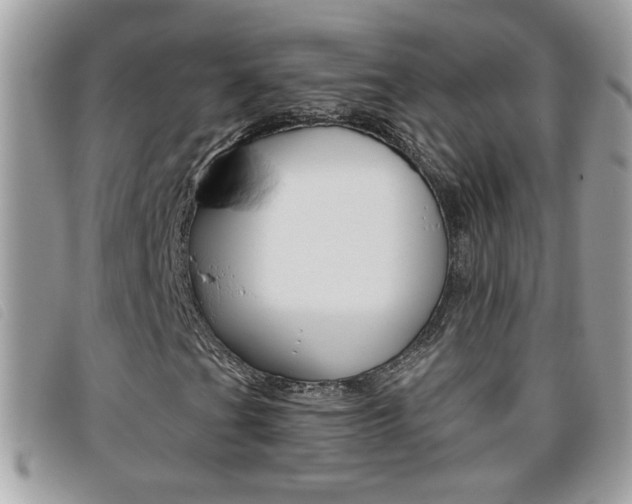 X0000095901201200801110757