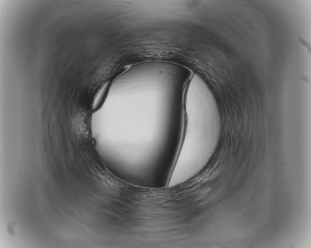 X0000095901202200801110757