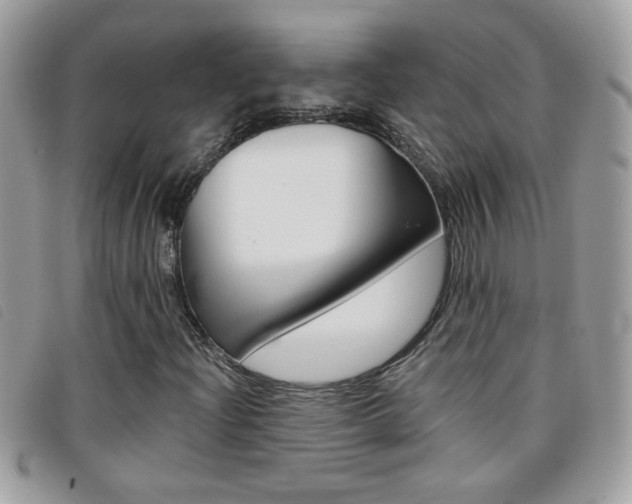 X0000095901204200801110757