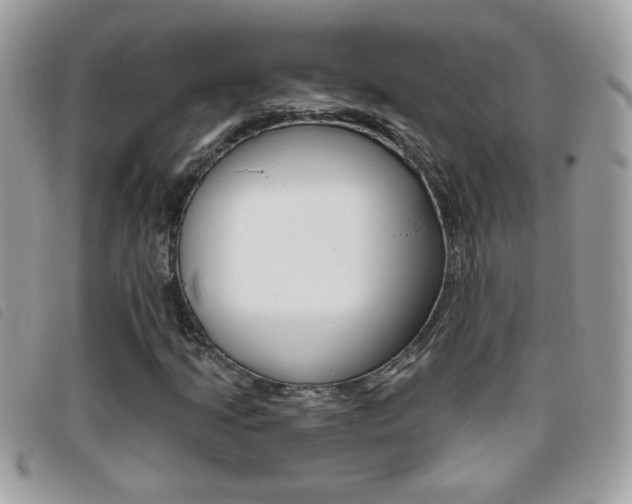 X0000095901205200801110757