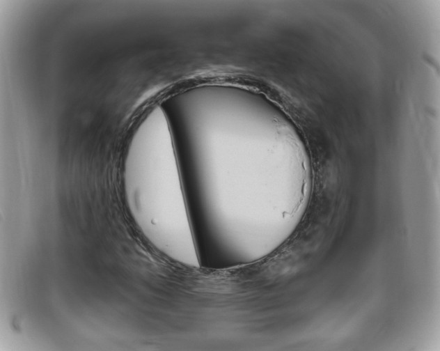 X0000095901206200801110757