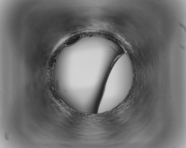 X0000095901208200801110757