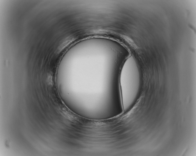 X0000095901209200801110757