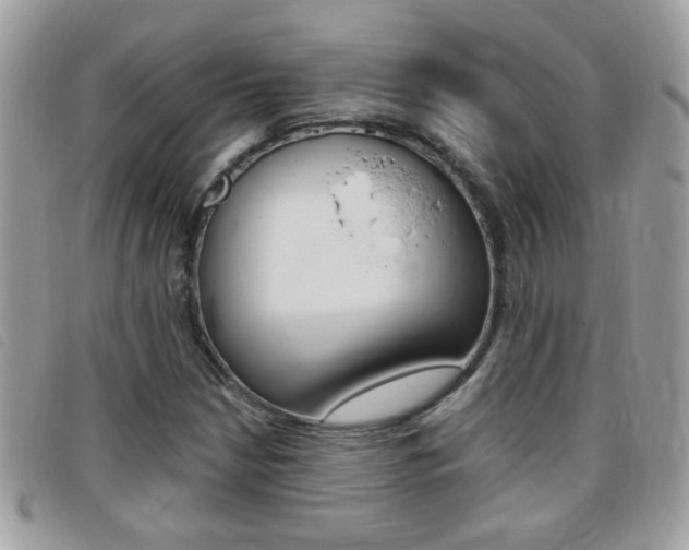 X0000095901210200801110757