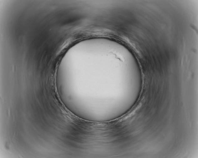 X0000095901211200801110757