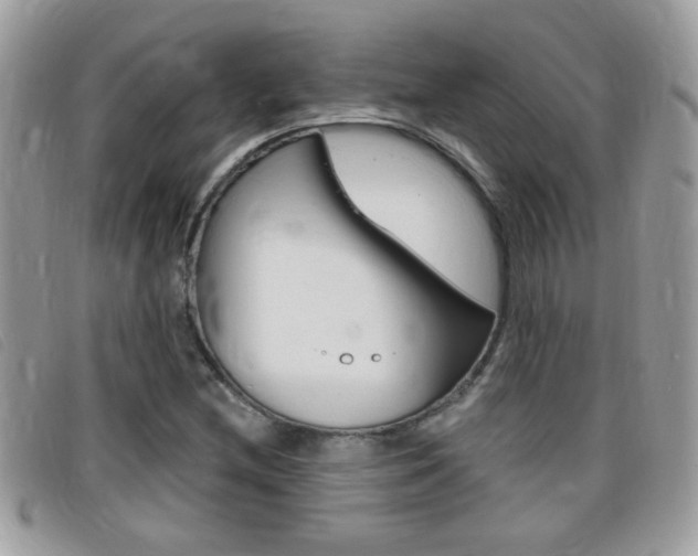 X0000095901212200801110757