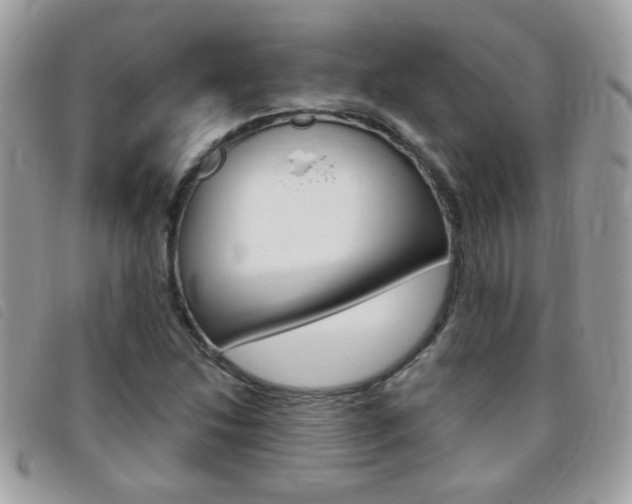 X0000095901214200801110757