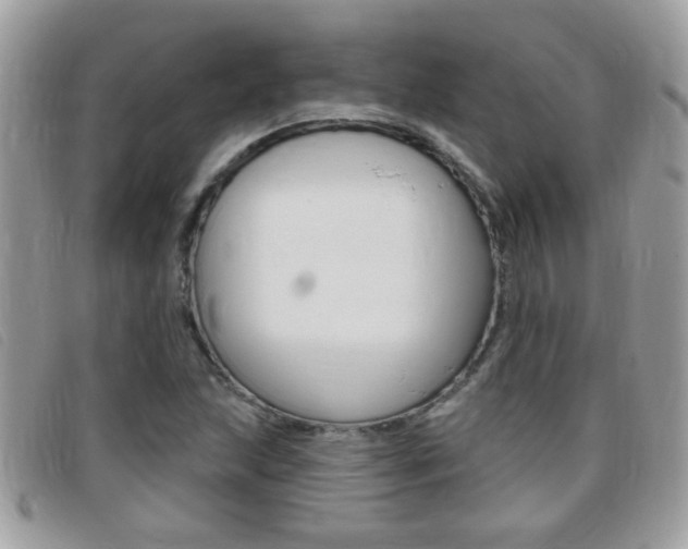 X0000095901215200801110757
