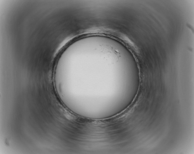 X0000095901216200801110757