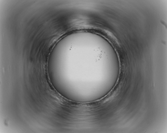 X0000095901217200801110757