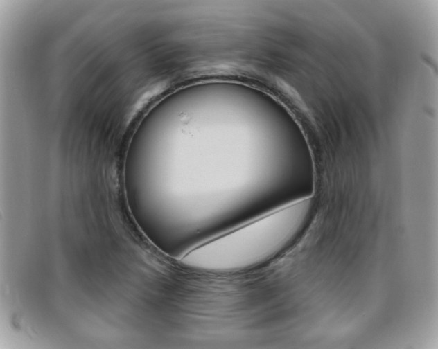 X0000095901218200801110757