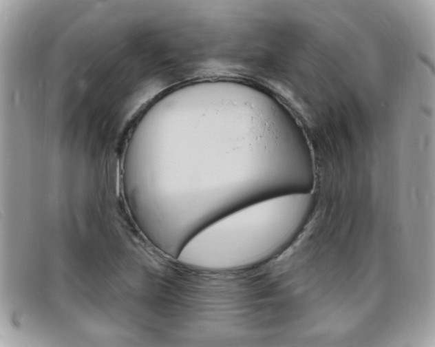 X0000095901219200801110757