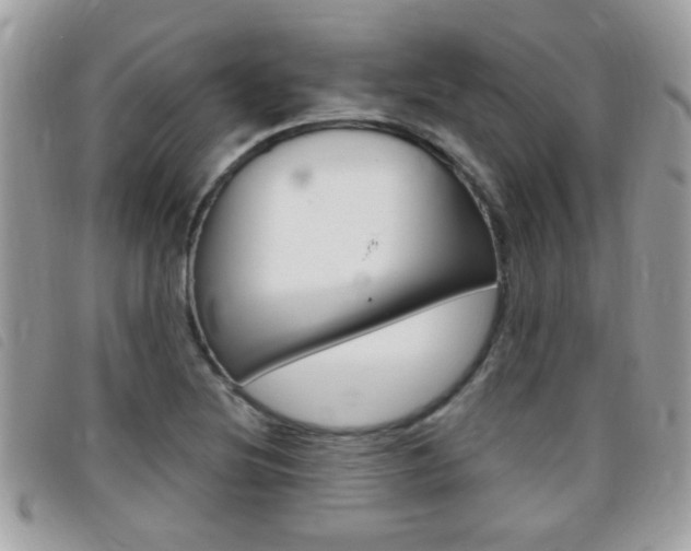 X0000095901220200801110757