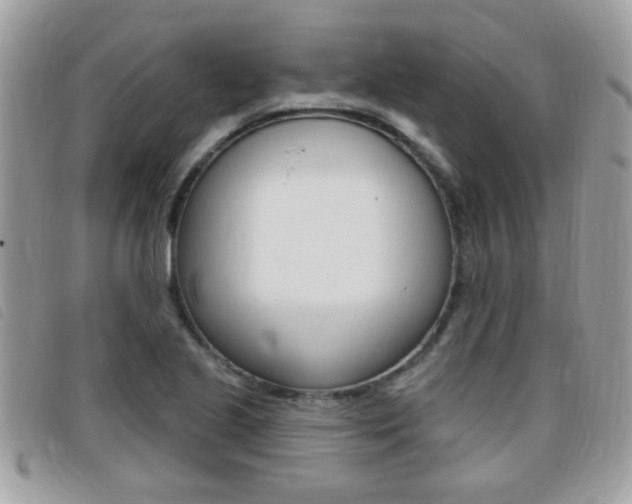 X0000095901221200801110757