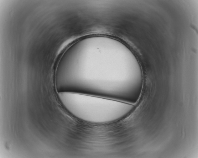 X0000095901222200801110757