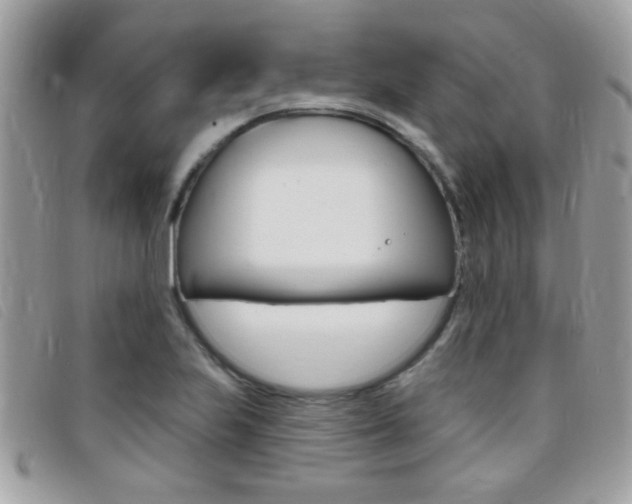 X0000095901223200801110757