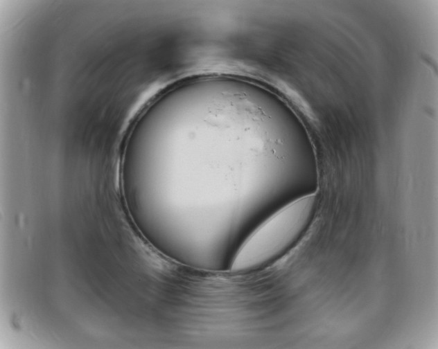 X0000095901224200801110757
