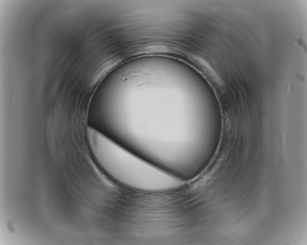 X0000095901225200801110757