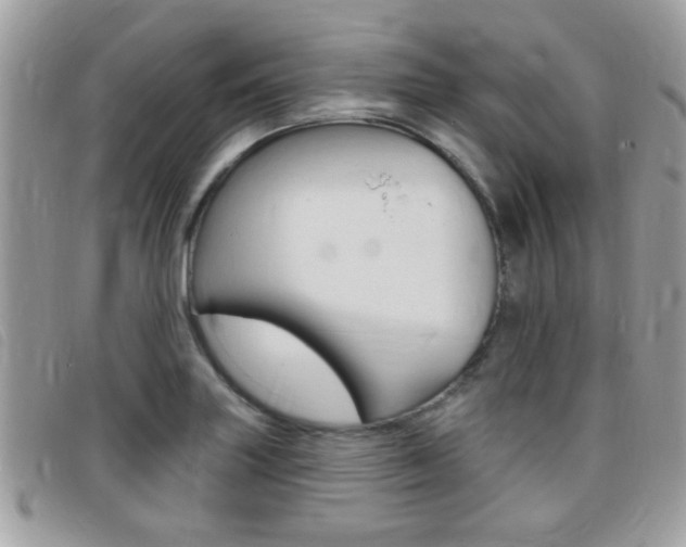 X0000095901227200801110757
