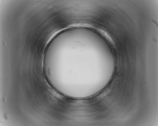 X0000095901228200801110757