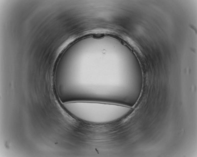 X0000095901229200801110757