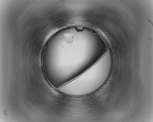 X0000095901230200801110757