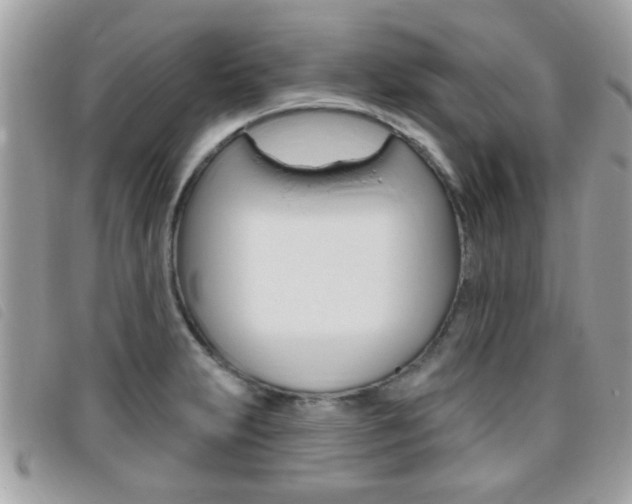 X0000095901231200801110757