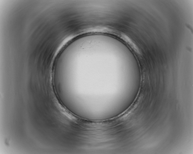 X0000095901232200801110758