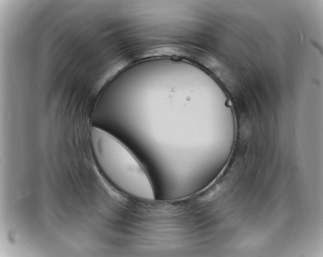 X0000095901233200801110758