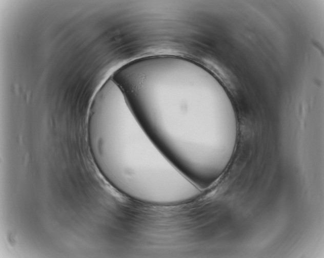 X0000095901236200801110758