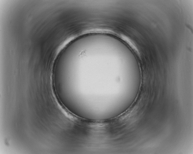 X0000095901237200801110758