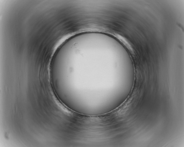 X0000095901238200801110758