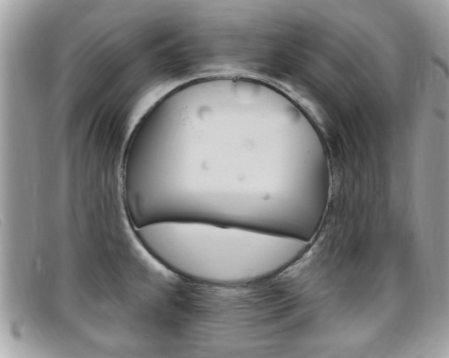 X0000095901239200801110758