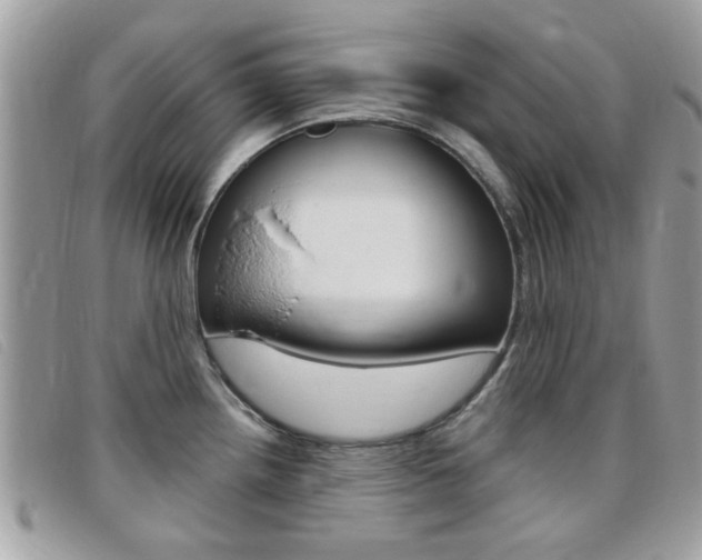 X0000095901242200801110758