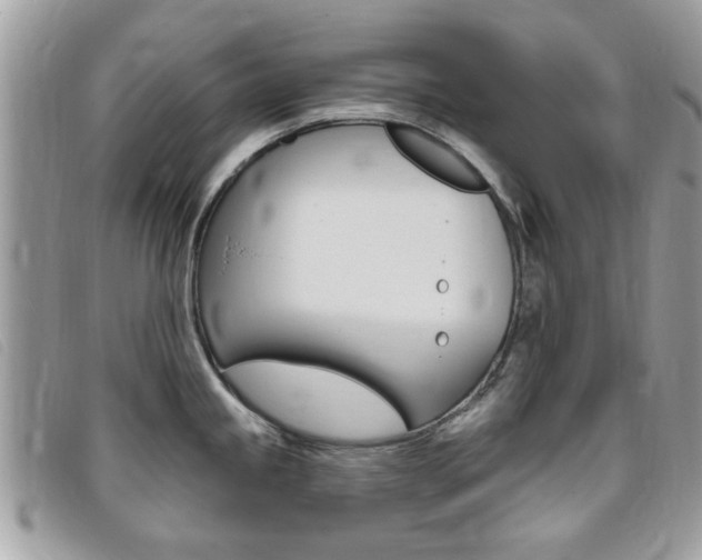 X0000095901245200801110758