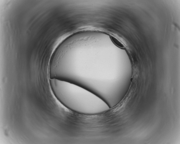 X0000095901247200801110758