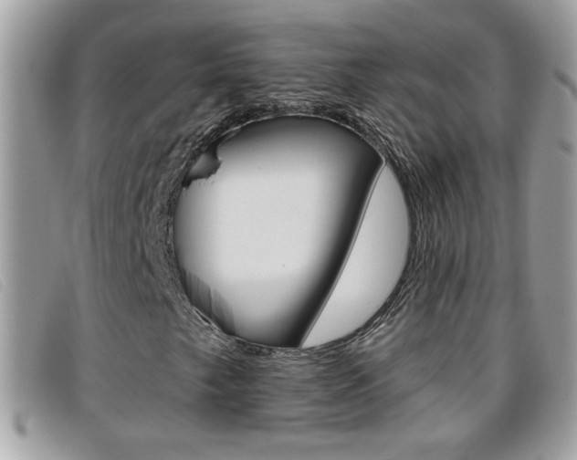 X0000095901249200801110757